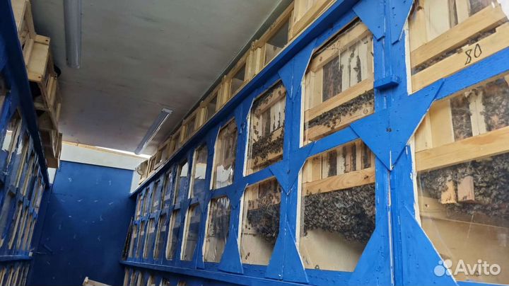 Павильон для пчел