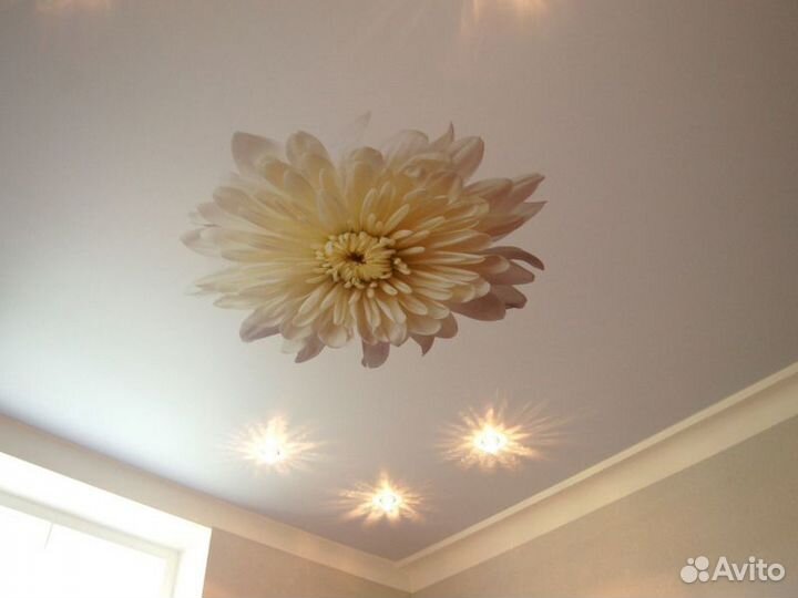 Промоутер с 18 лет