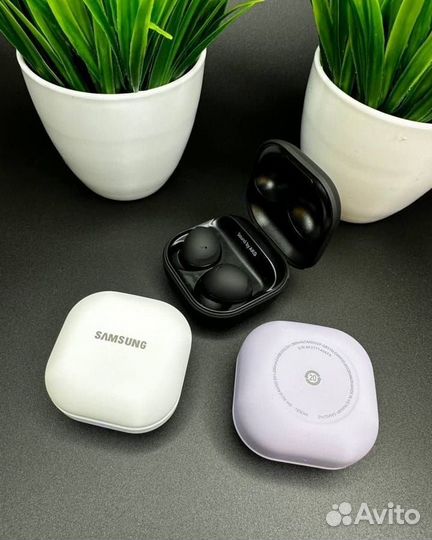 Samsung galaxy buds 2 pro
