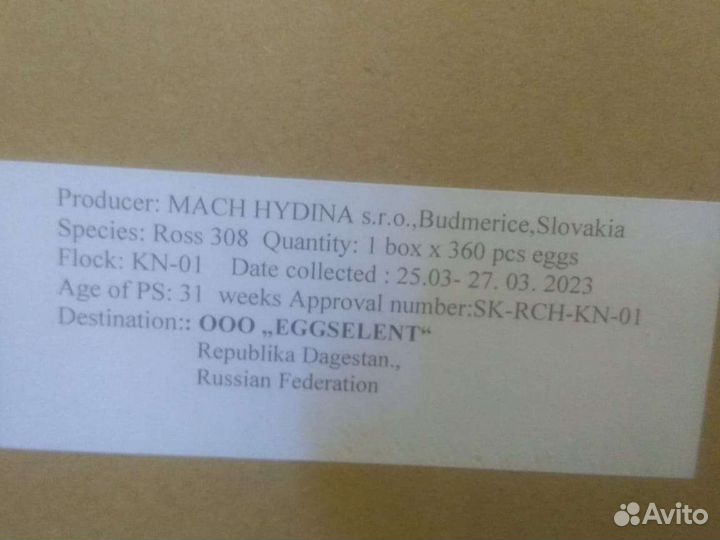 Здесь ваш бройлер