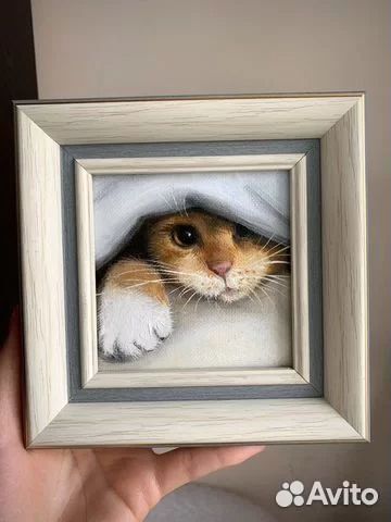 Кот картина
