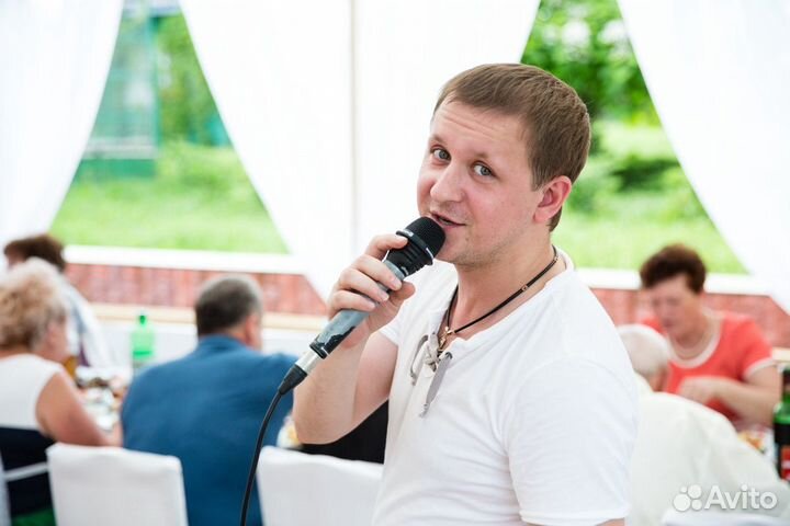 Диджей на праздник