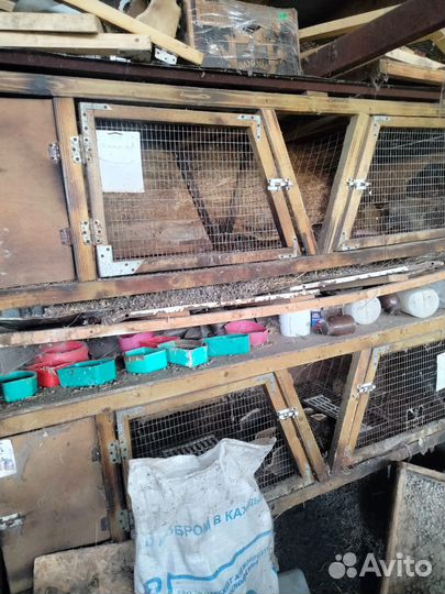 Клетка для грызунов большая