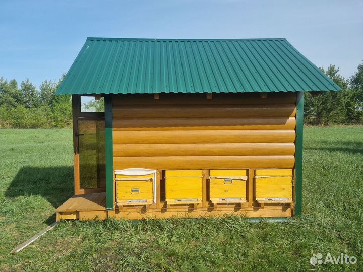 Пчелы пчелосемья пакеты