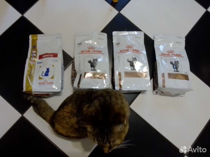 Royal canin hepatic для кошек