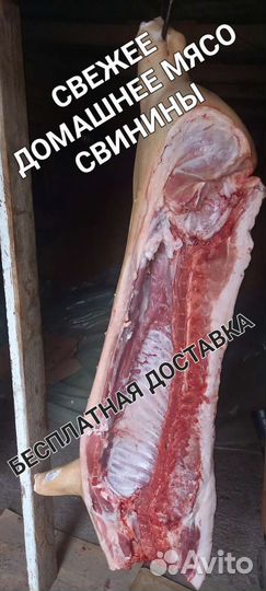 Домашнее мясо свинины (Подробности в описание)
