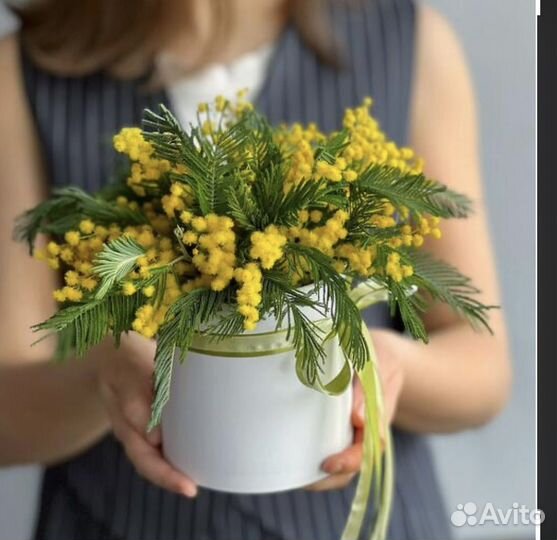 Букет из Мимозы
