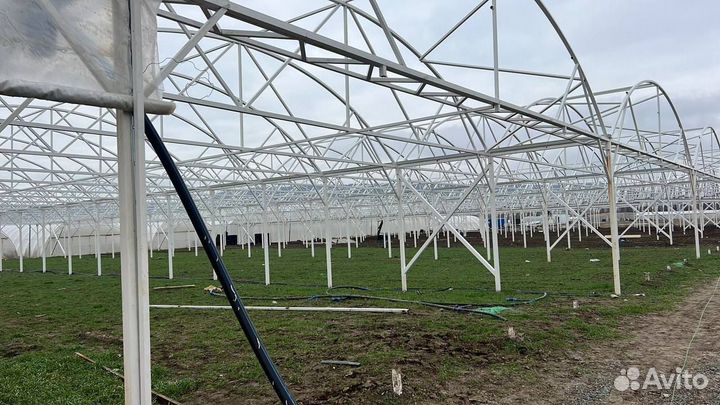 Бизнес на Тепличном комплексе