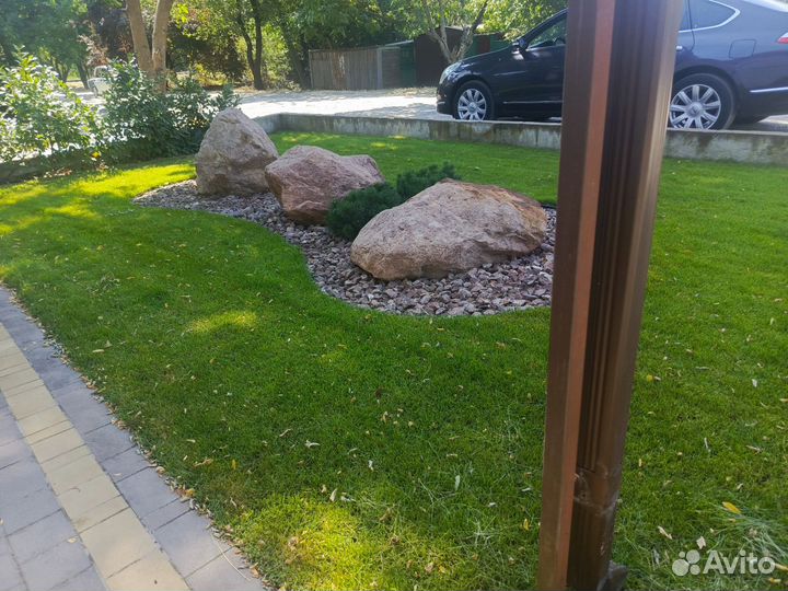 Рулонный Газон Волгоградский