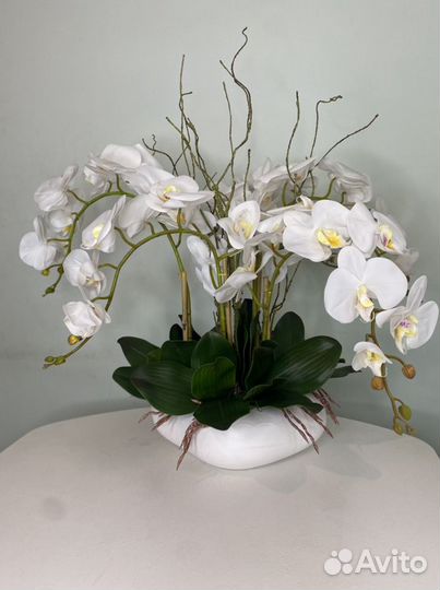 Орхидея в горшке