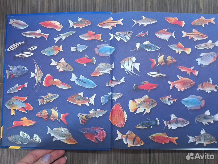 Книга С.Трейвз Аквариум в вашем доме