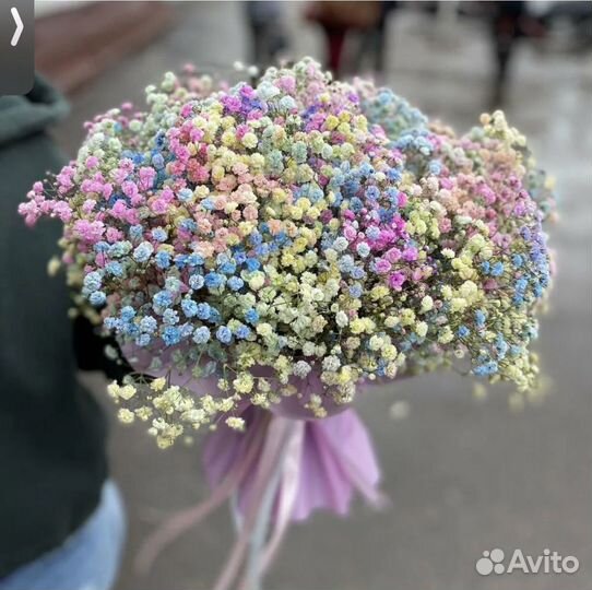 Крашенная Гипсофила