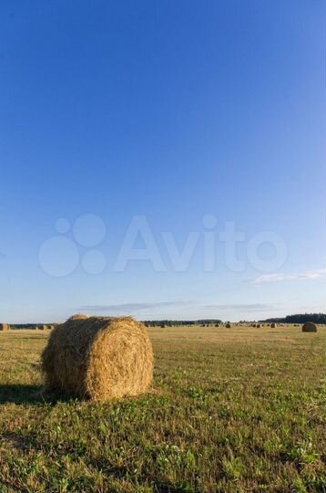 Участок 59 га (СНТ, ДНП)