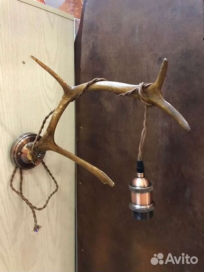 Рога оленя