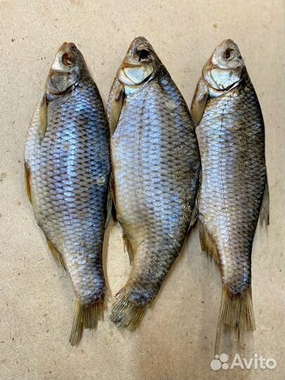 Рыба Чебак вял. цена за кг