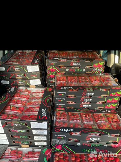 Свежая клубника