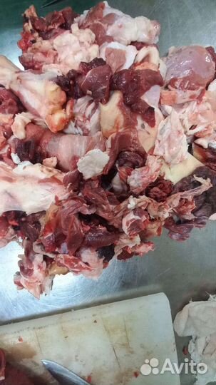 Обрезь кости свежие для собак