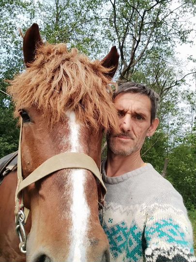 Разнорабочий в лпх