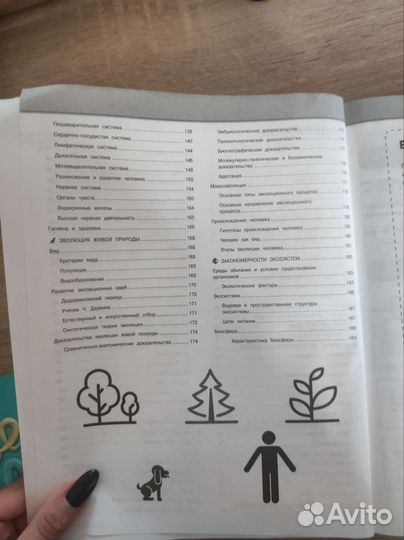 О. Ч. Мазур теория к огэ и егэ на все года