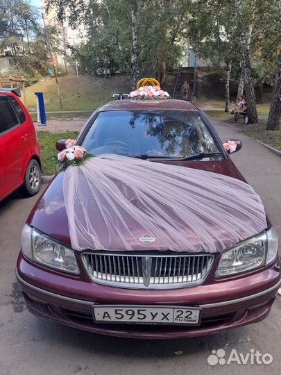 Свадебные украшения на машину продажа