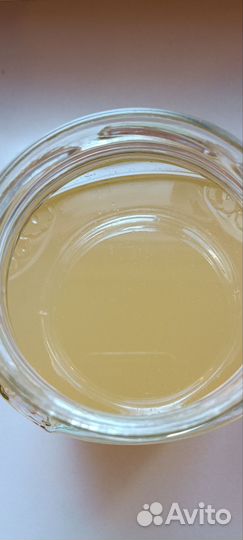 Жир лесной лечебный сентябрь 2023 г