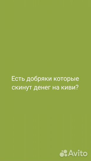 Компьютерные игры