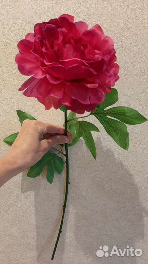 Искусственные пионы