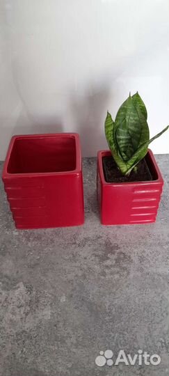 Кашпо для цветов керамика