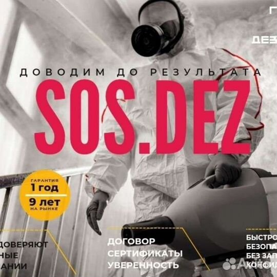 Уничтожение тараканов клопов