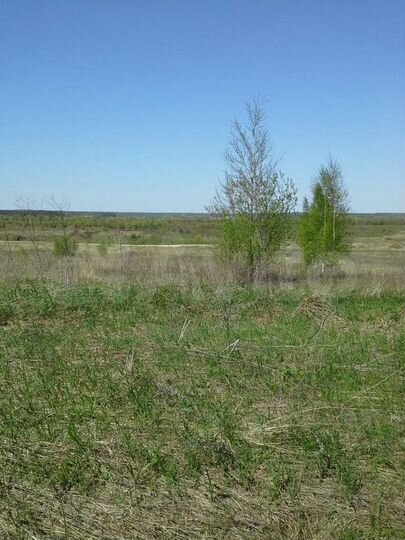 Участок 25 сот. (ИЖС)