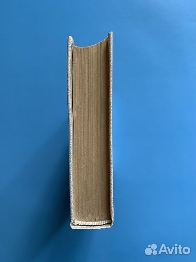 Мушкетер и фея В. Крапивин