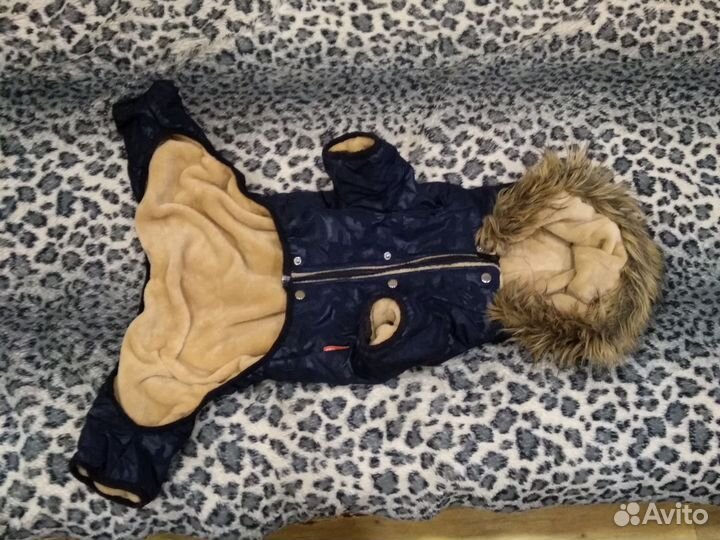 Курточка для собаки зимняя