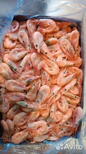 Креветка северная 5 кг 70+