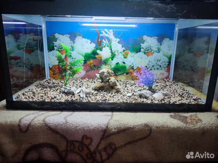 Аквариум комплеке