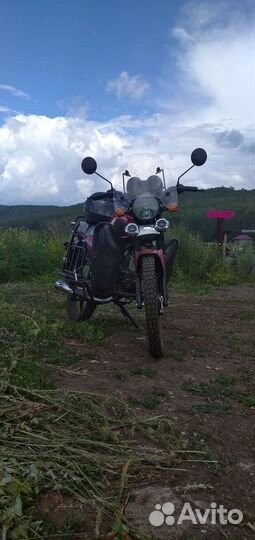 Alpha andes lux 110cc