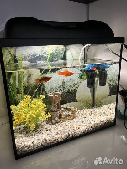 Аквариум 35 л