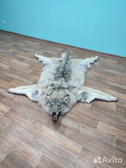 Ковер из шкуры волка