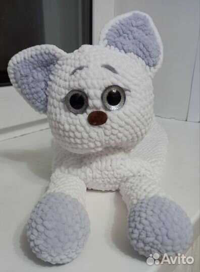 Кот комфортер 