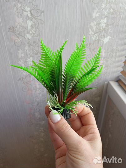 Набор для аквариума