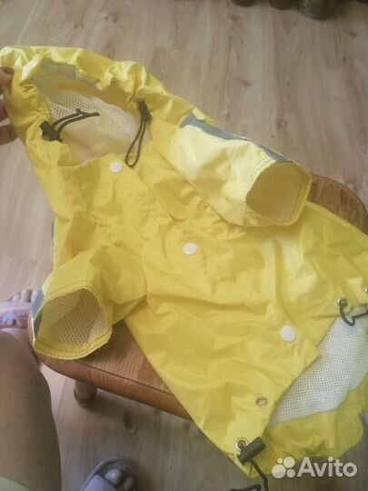 Одежда для собак