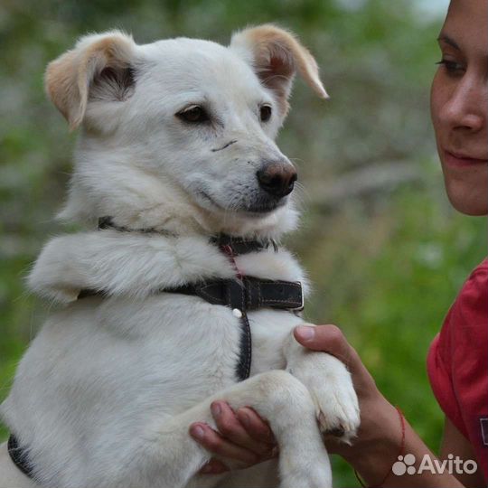 Зая ищет дом