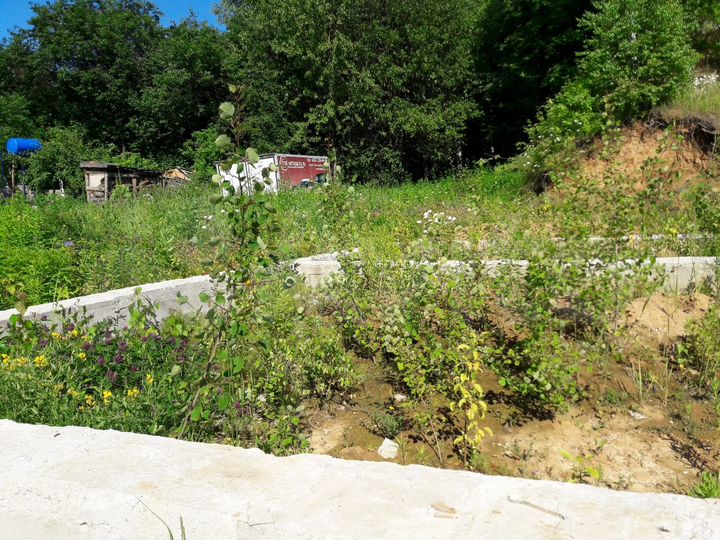 Участок 6 сот. (СНТ, ДНП)