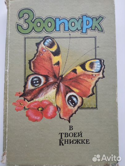 Зоопарк в твоей книжке. Насекомые