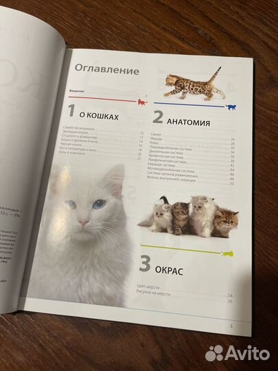 Кошки полная энциклопедия
