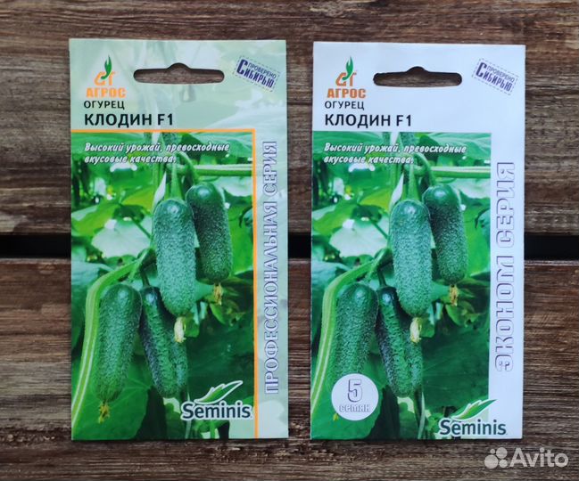 Семена огурцов