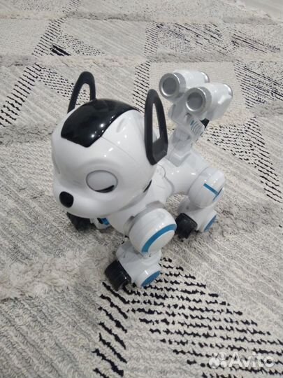 Собака робот