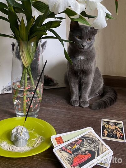 Расклад таро бесплатно