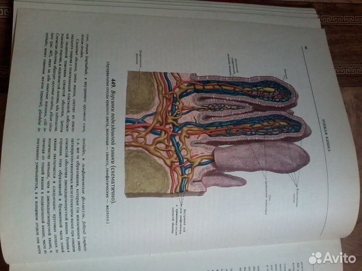 Атлас анатомии человека синельников 1973