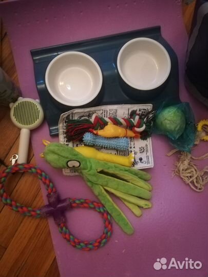 Разное для собак