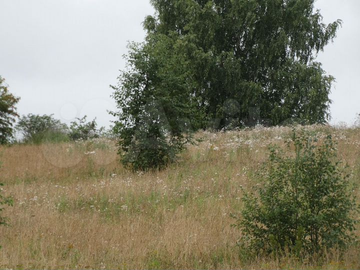 Участок 15 сот. (ИЖС)